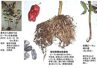 クリックで拡大します